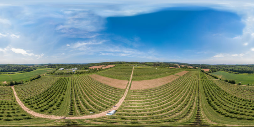 Latz Obstplantage in Saarwellingen