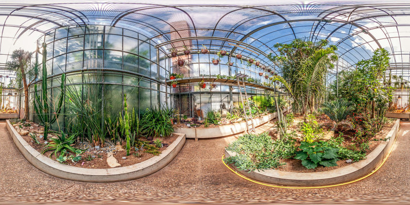 Botanischer Garten Darmstadt - Sukkulentenhaus