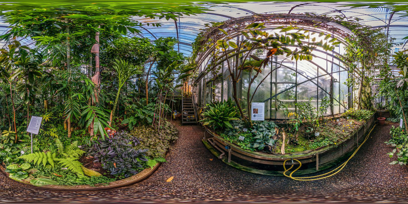 Botanischer Garten Darmstadt - Tropenhaus