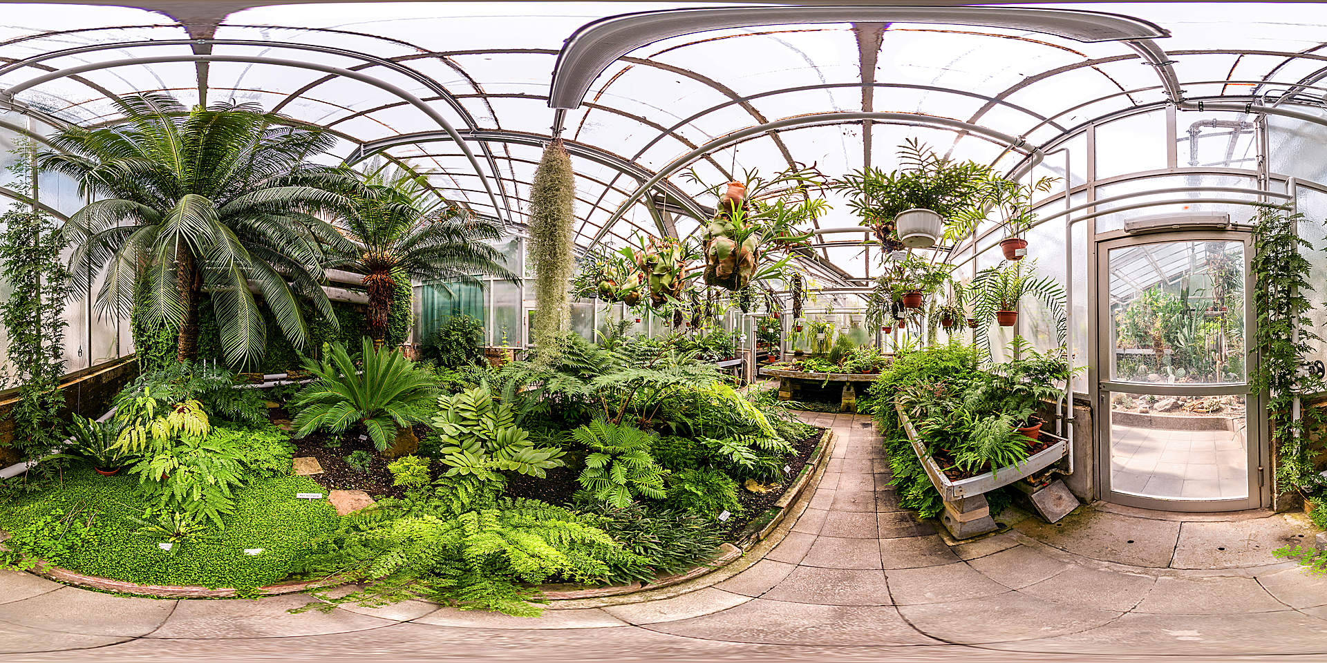 Botanischer Garten Gießen - Gewächhaus für Farne und farnverwandte Pflanzen