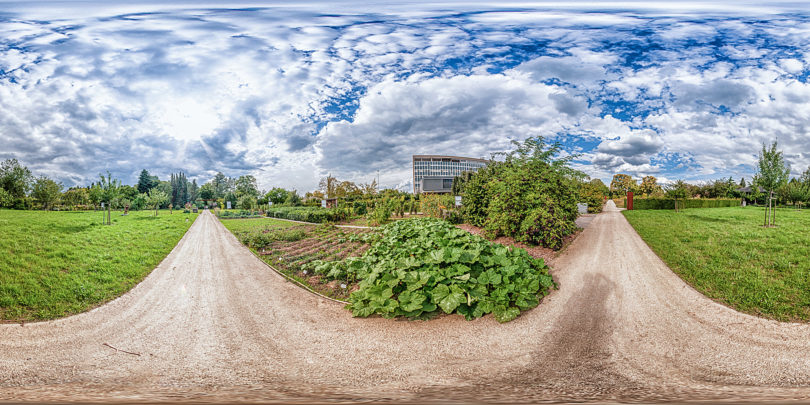 Botanischer Garten Mainz Freiland