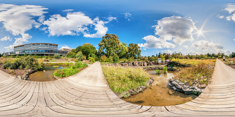 Botanischer Garten Mainz - Freiland