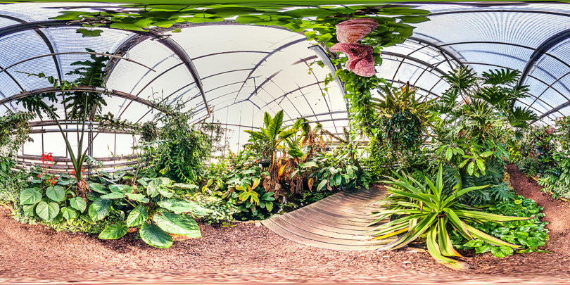 Botanischer Garten Mainz - Gewächshaus Wasserpflanzen