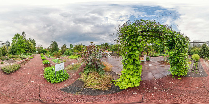 Botanischer Garten Würzburg - Arzneipflanzengarten