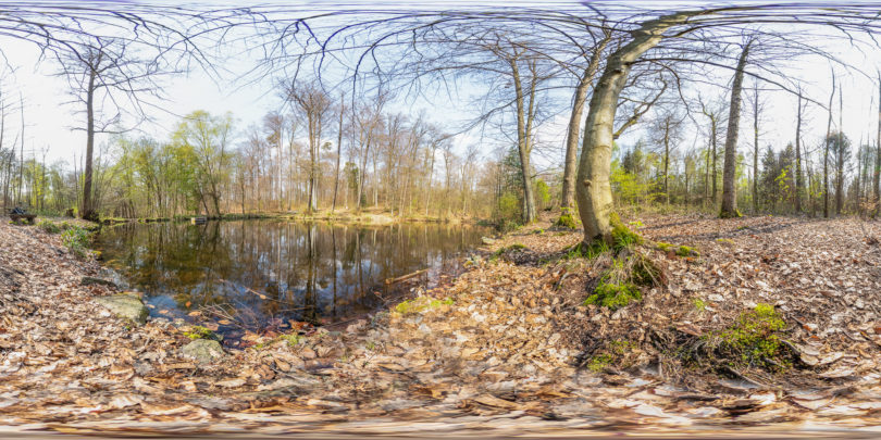 Teich an der Darmbachquelle 