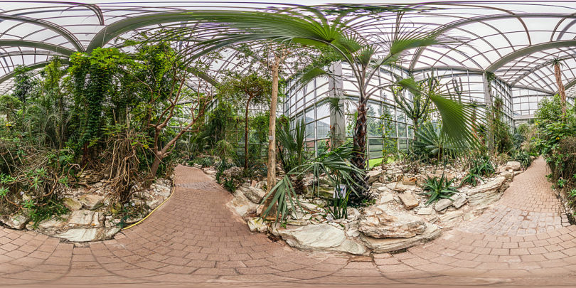 Palmengarten Tropicarium Dornwald