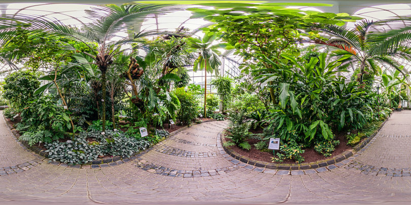 Palmengarten Frankfurt - Tropicarium Monsunwald