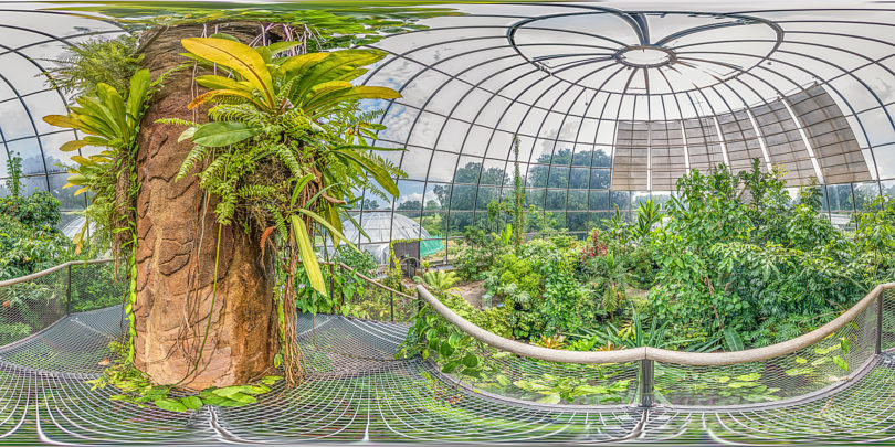 Botanischer Garten Zürich - Tropenhaus Tiefland